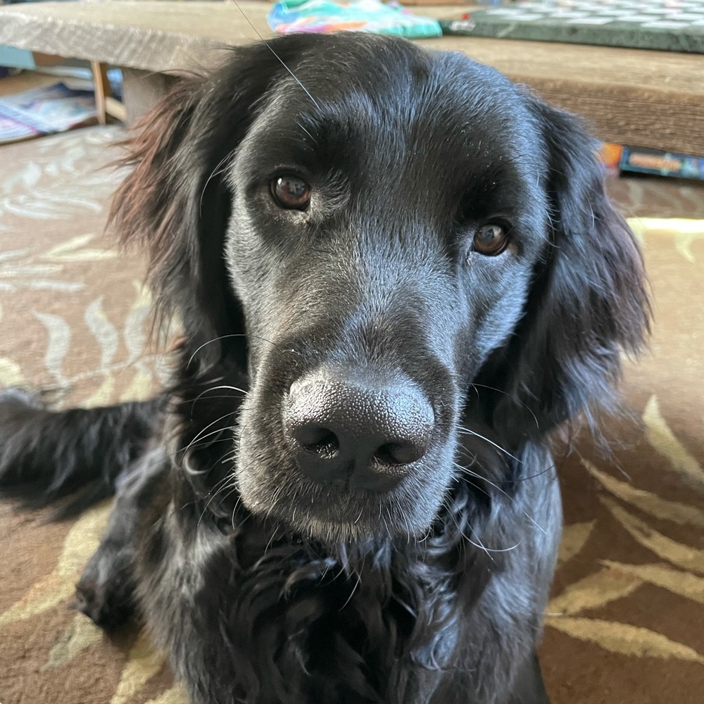 Meet your Posher, Eleanor